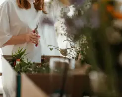 Garden Maintenance