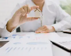 Real estate and Consultancy